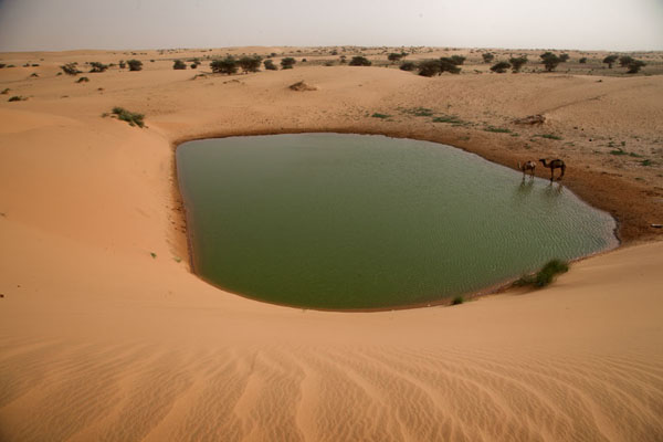 A Cup of Water