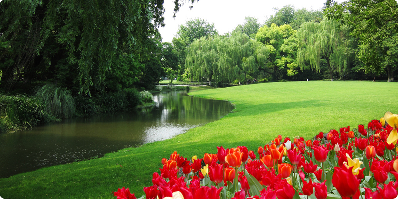 The Garden